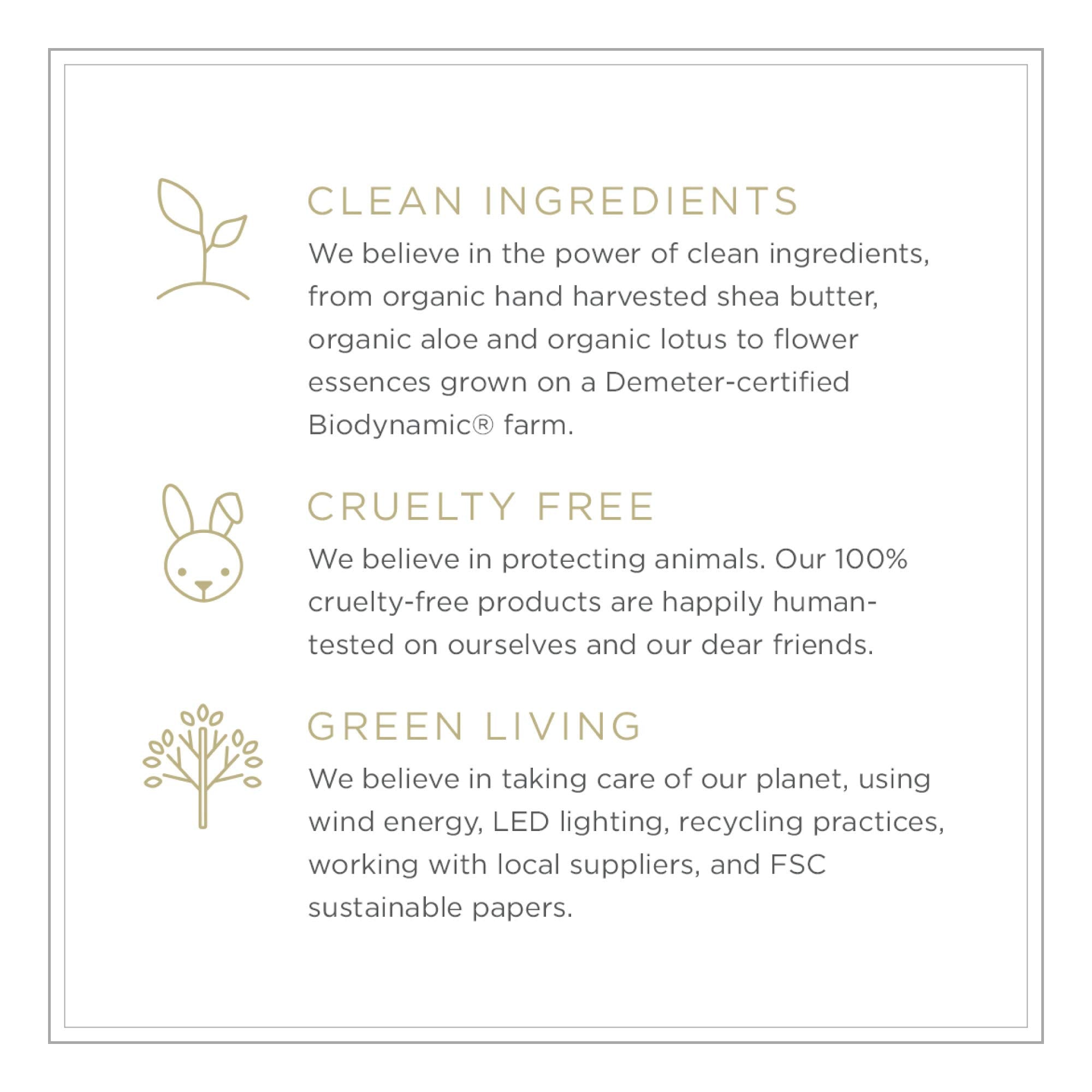 ZENTS Hand & Body Wash Earth Fragrance | Hydrating Cleanser with Organic Shea Butter & Aloe | 10 oz