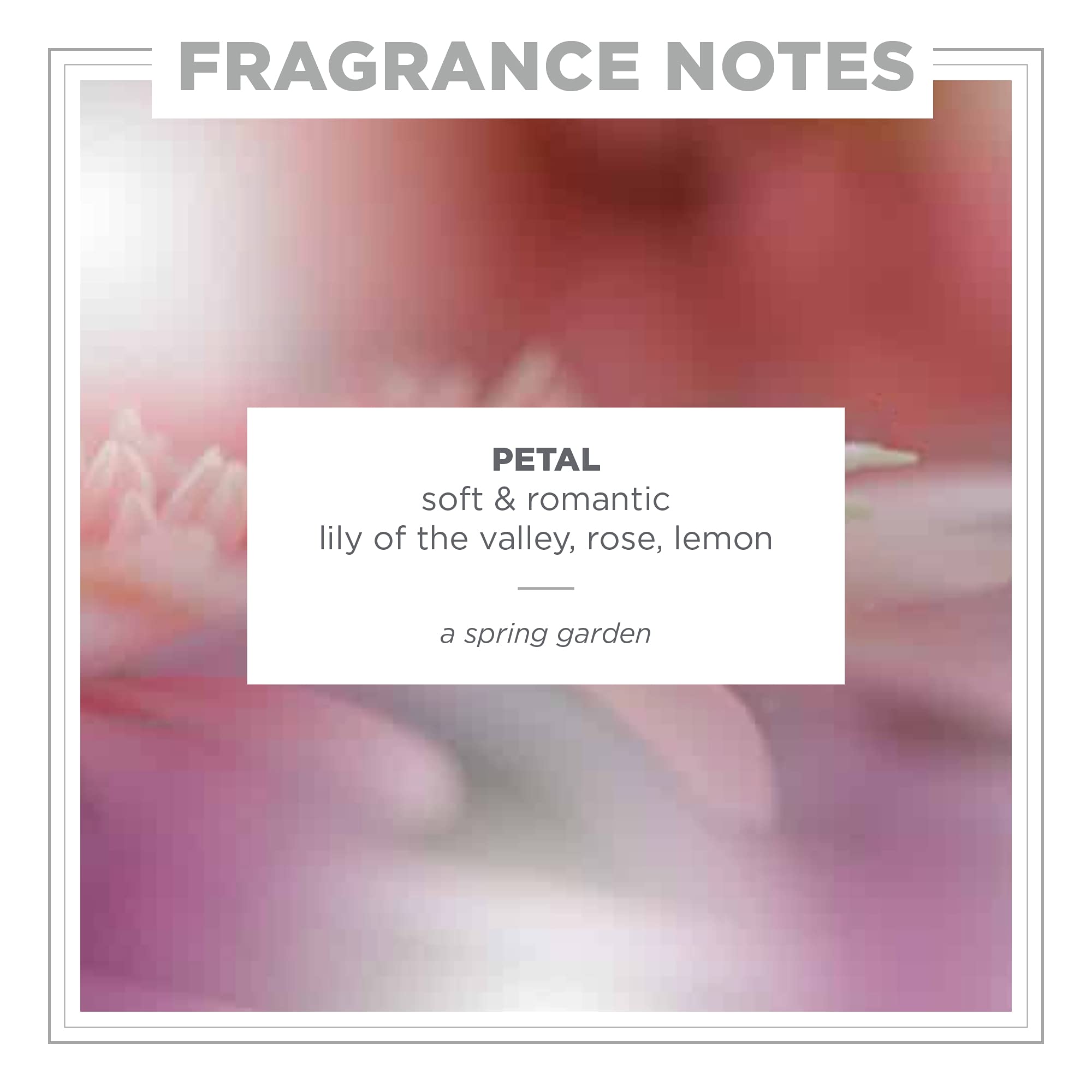 Zents Eau de Parfum Petal – Floral Unisex Scent with Lily of the Valley, Rose & Lemon | 1.69 oz