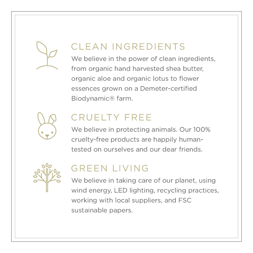 ZENTS Hand & Body Wash (Sun Fragrance) — Hydrating, Age-Defying Cleanser with Organic Shea Butter & Aloe | 10 fl oz