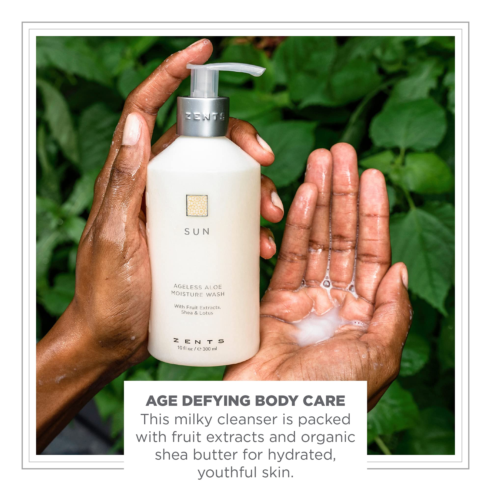 ZENTS Hand & Body Wash (Sun Fragrance) — Hydrating, Age-Defying Cleanser with Organic Shea Butter & Aloe | 10 fl oz