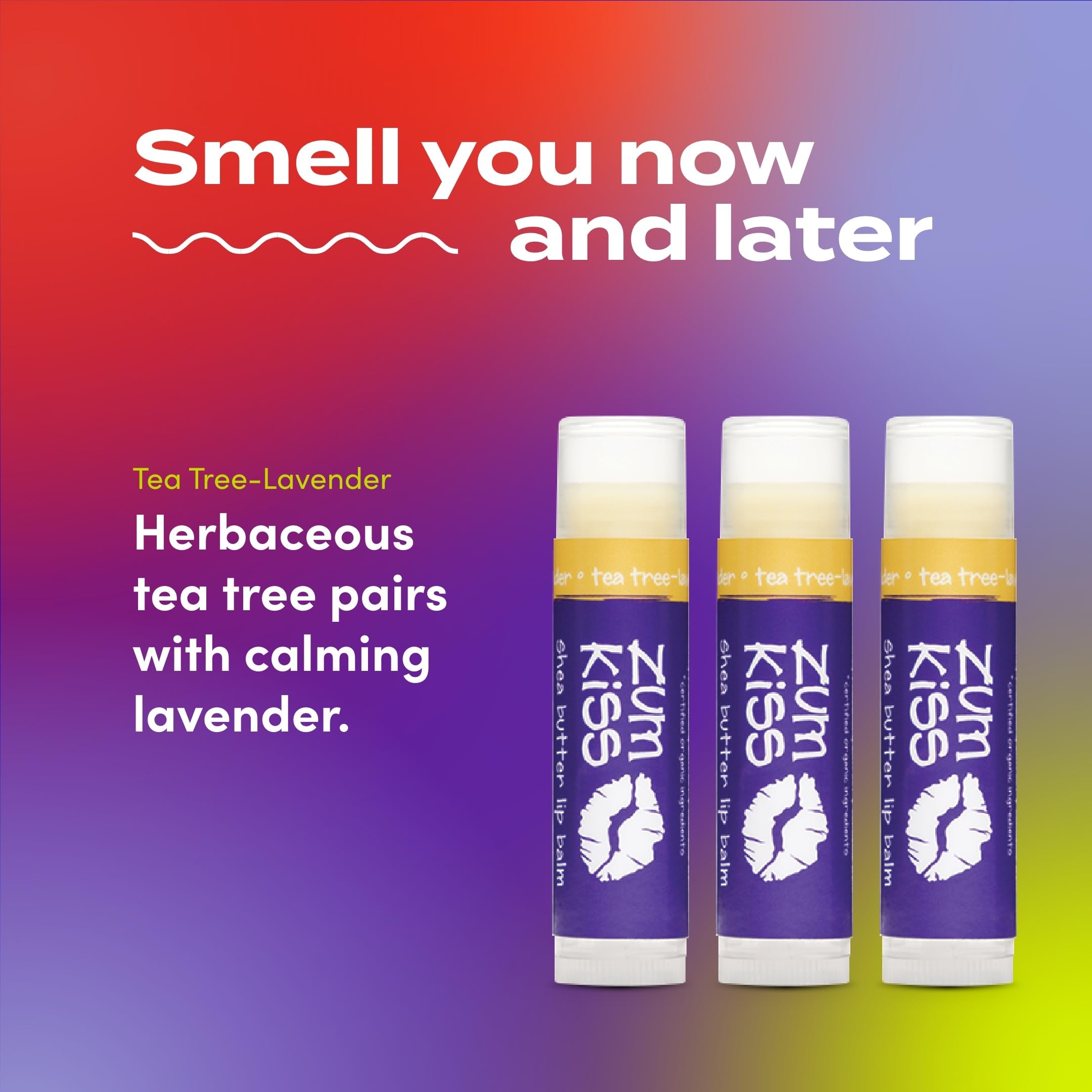 Zum Kiss Stick 3 Pack | Indigo Wild Natural Lip Balm with Beeswax, Sunflower Oil & Vitamin E – Tea Tree & Lavender