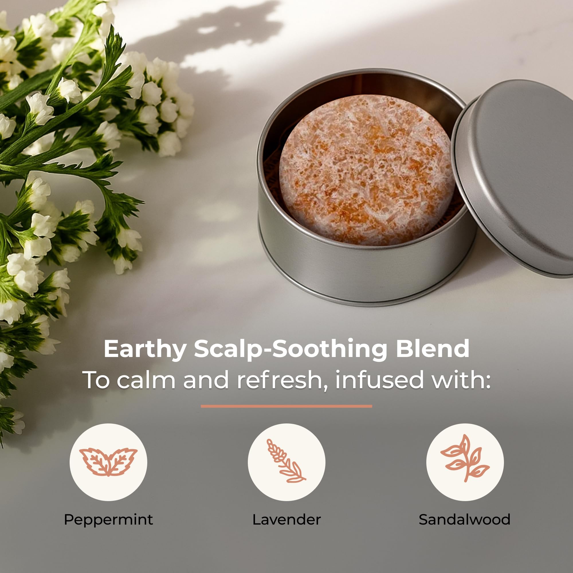 ZWS Essentials Driftwood Shampoo Bar – Vegan Solid Cleanser for Oily Hair, Dandruff & Psoriasis